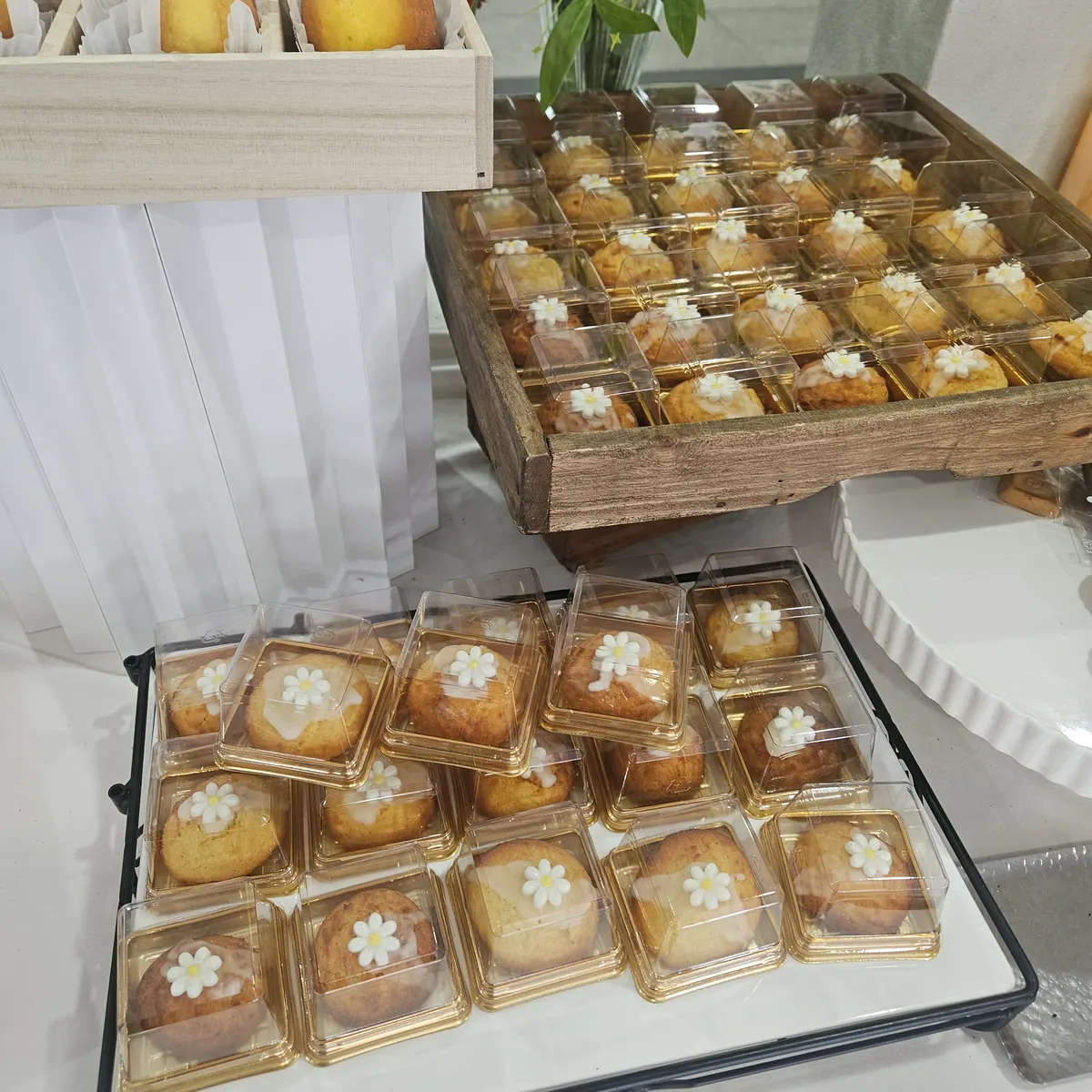 마들렌 디저트 박스 학술대회 커피브레이크 케이터링